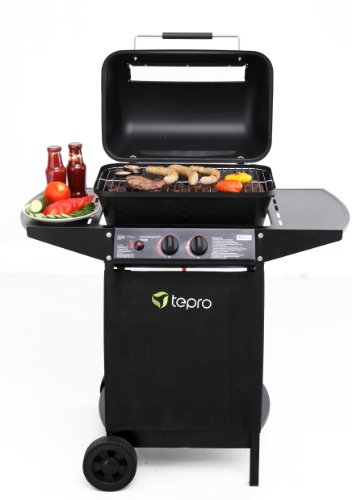 Tepro Lavasteingasgrill Grillwagen mit Rollen