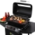 Tepro Lavasteingasgrill Grillwagen mit Rollen