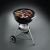 hochwertiger Weber Compact Kettle, Holzkohle-Kugelgrill 47 cm