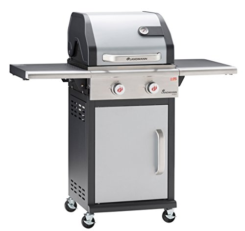 WELL GRILL 29 cm fino a 43 cm, universale, per taino, Landmann, Burnhard e la maggior parte delle griglie a gas, confezione da 6